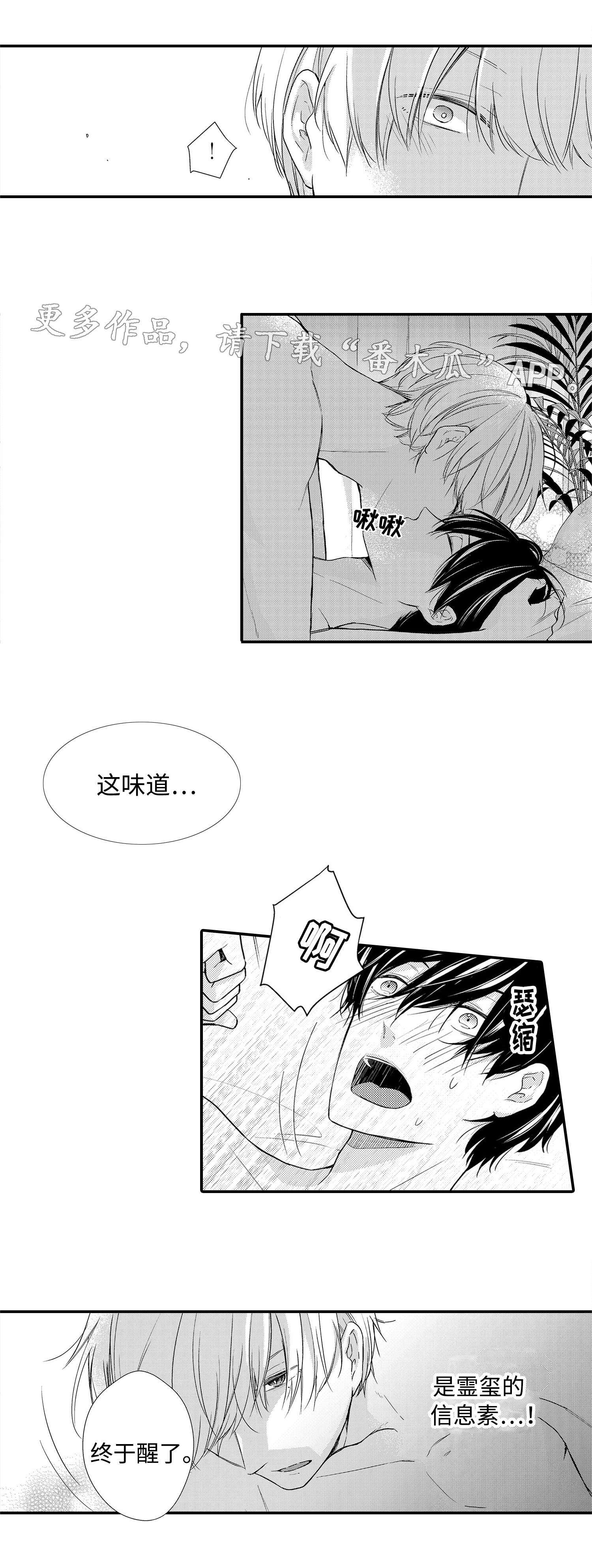 第19章：项链2