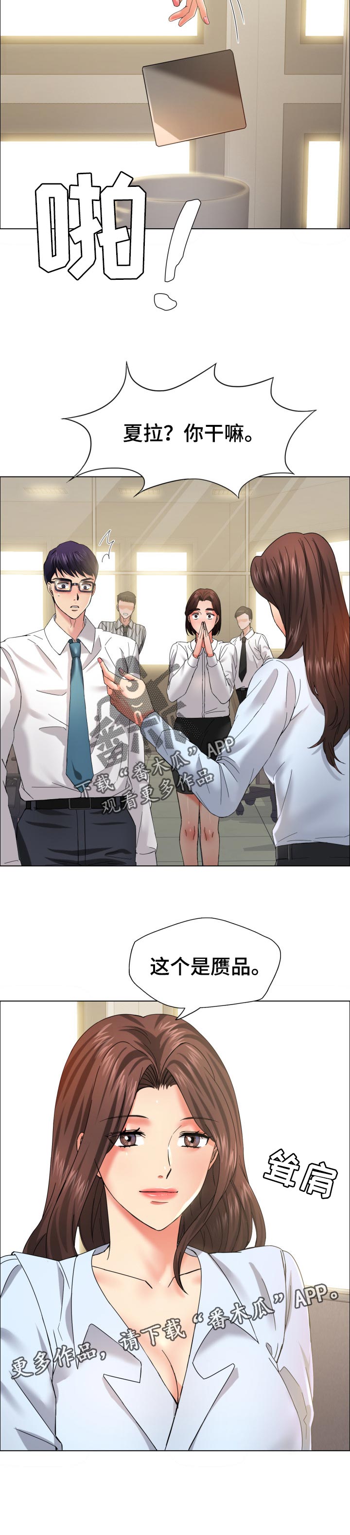第65章：赝品10