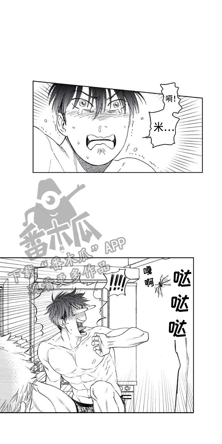第17章：害怕1