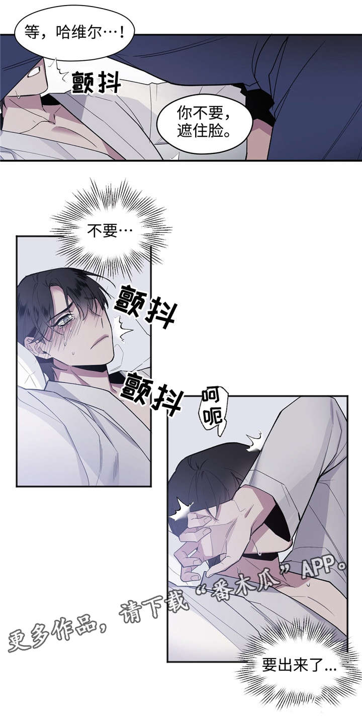 第29章：因为是夫妻2