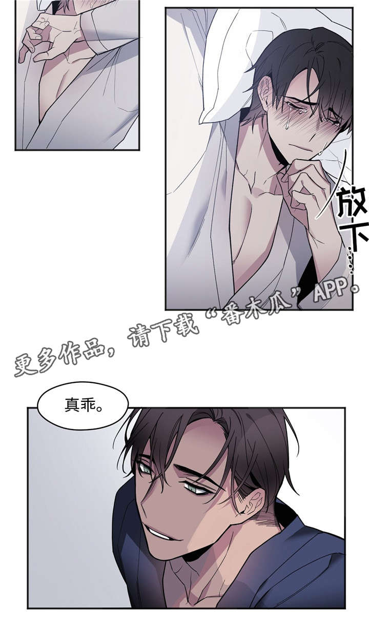 第29章：因为是夫妻4