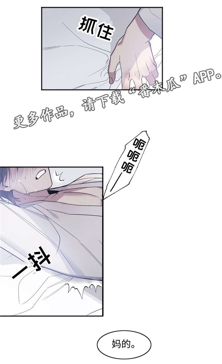 第29章：因为是夫妻5