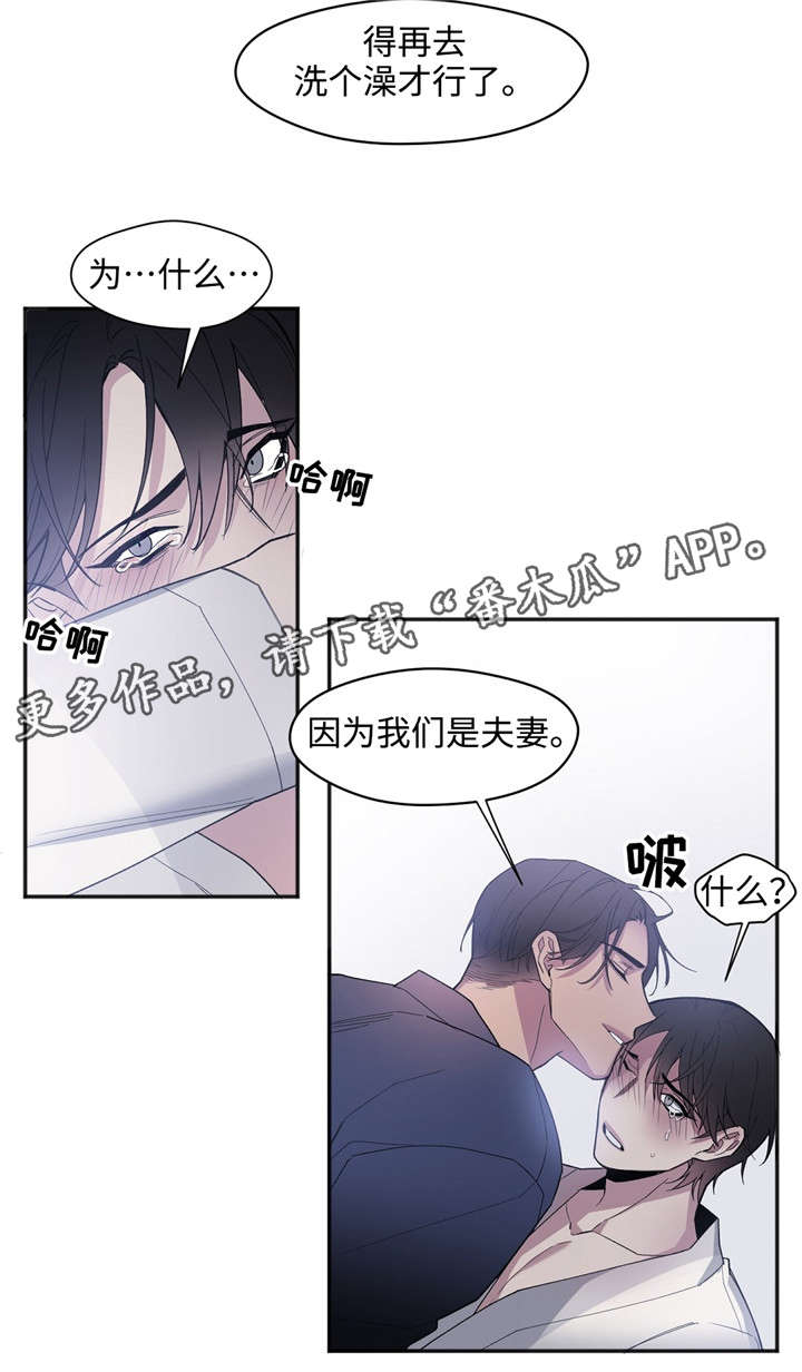 第29章：因为是夫妻6