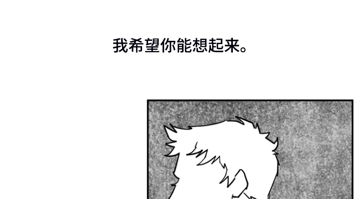 第54章：最后的表演？19