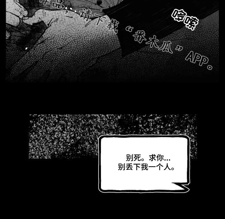 第17章：别死11