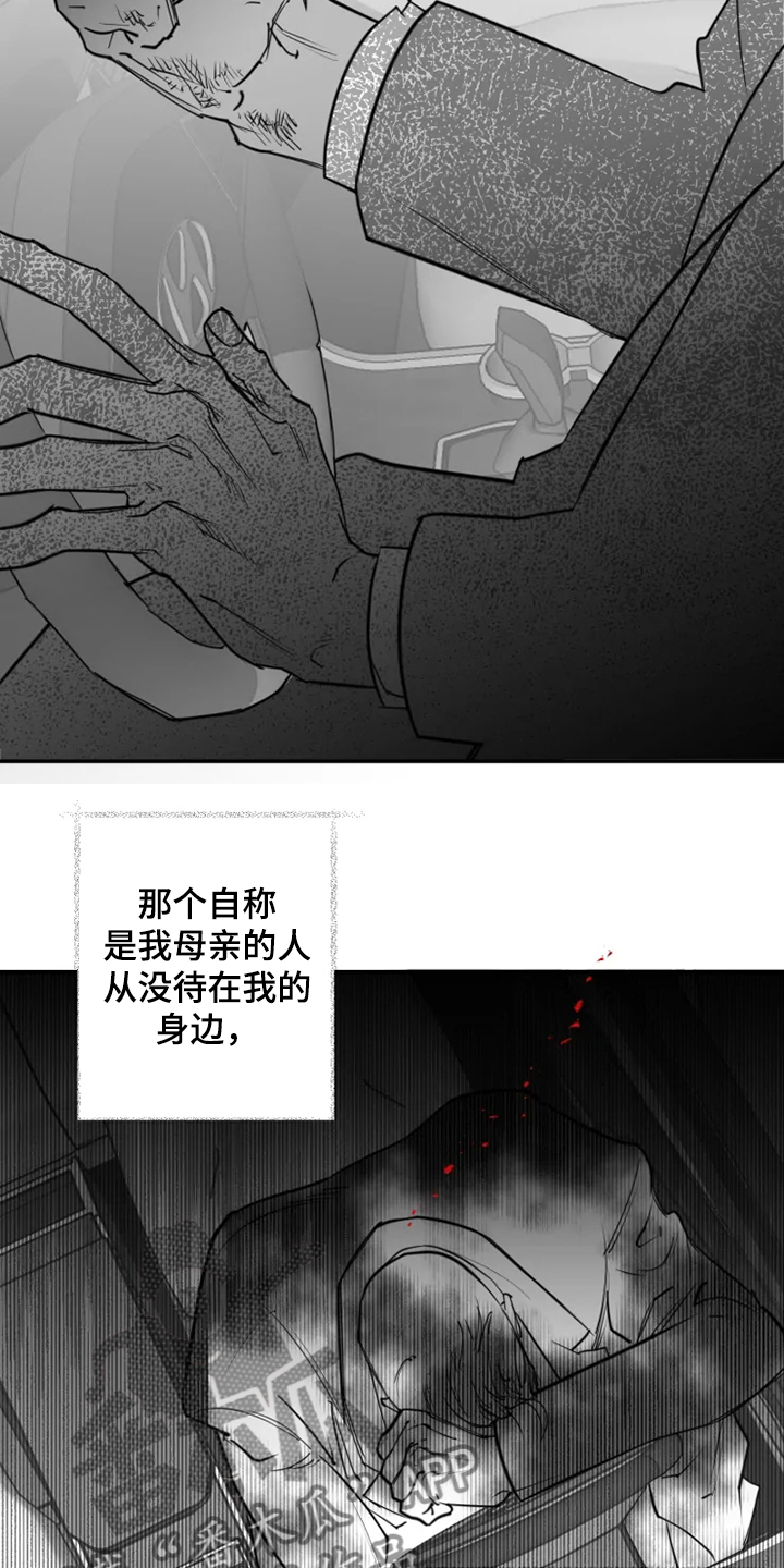 第45章：你不像她16