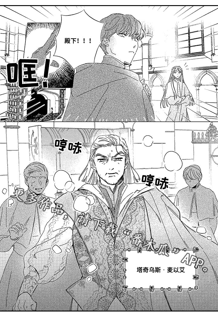 第11章：首席神官11