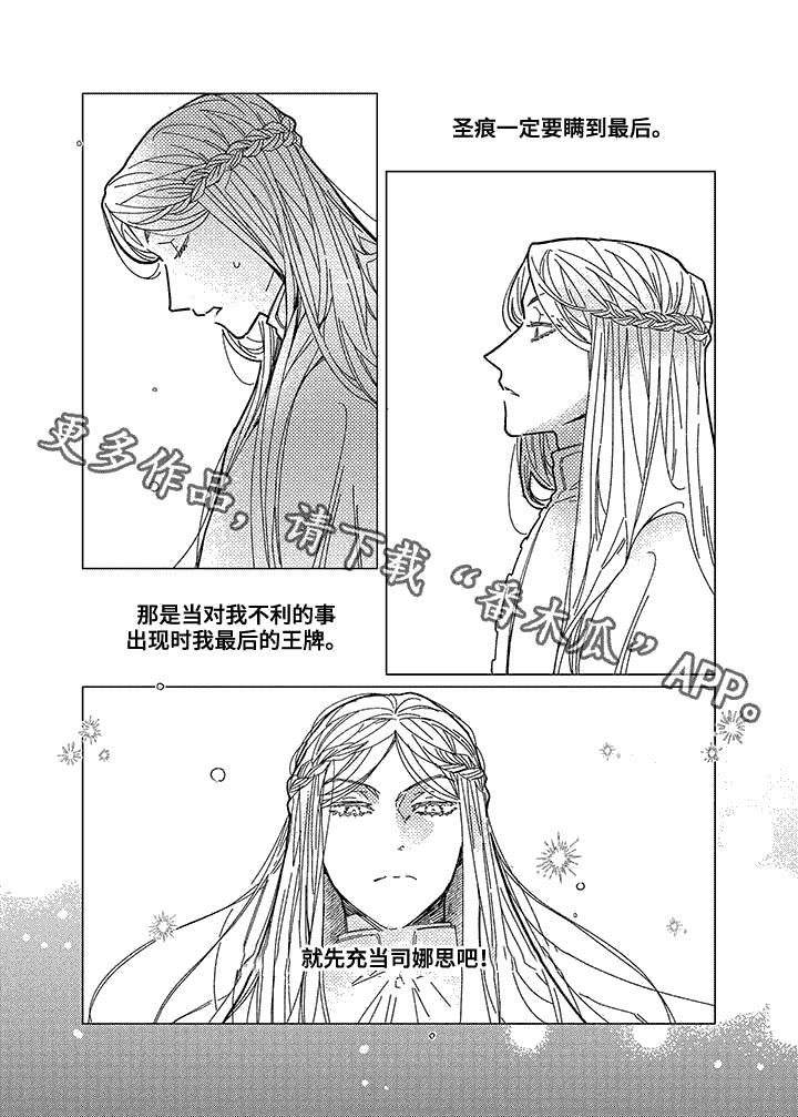 第12章：日食13