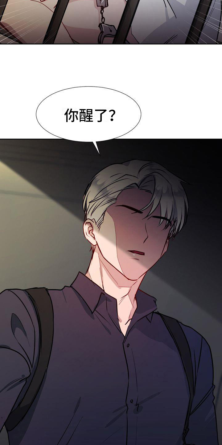 第1章：领养4