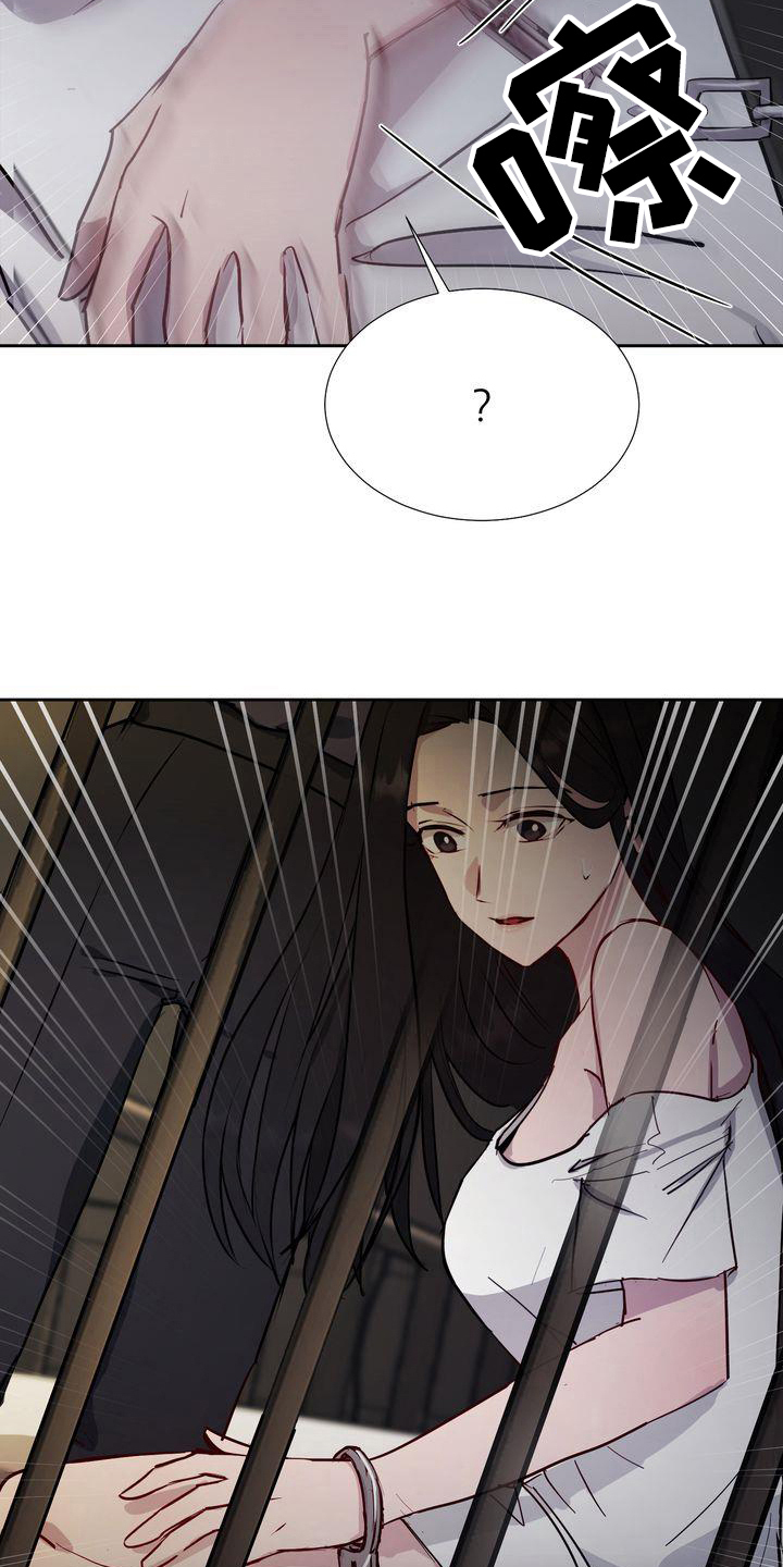 第1章：领养3