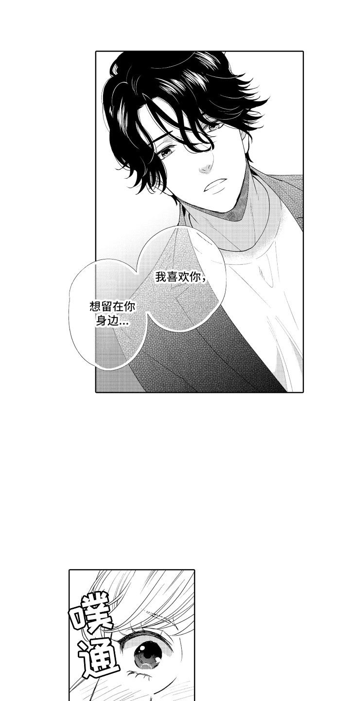 第22章：表白11