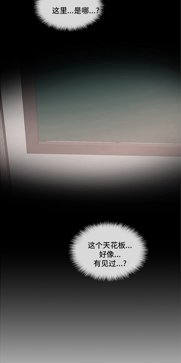 第97章：【番外】亲爱的16