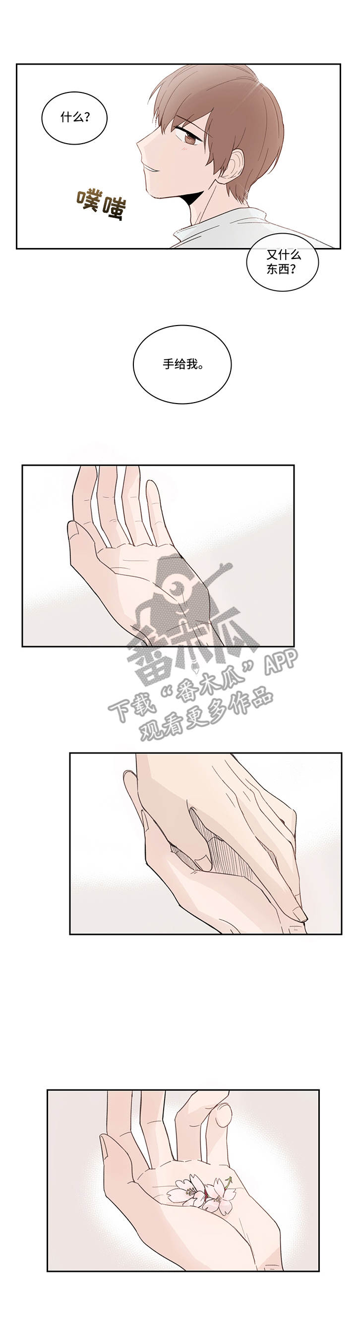 第16章：花瓣9