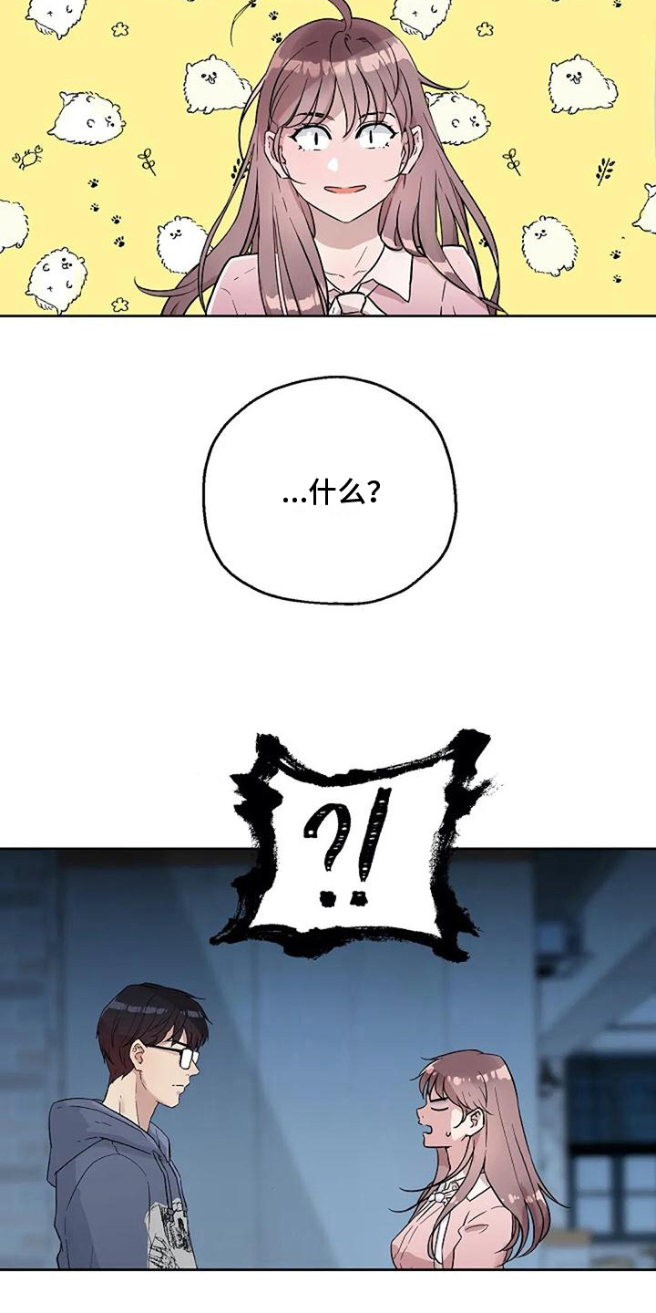 第17章：解释14