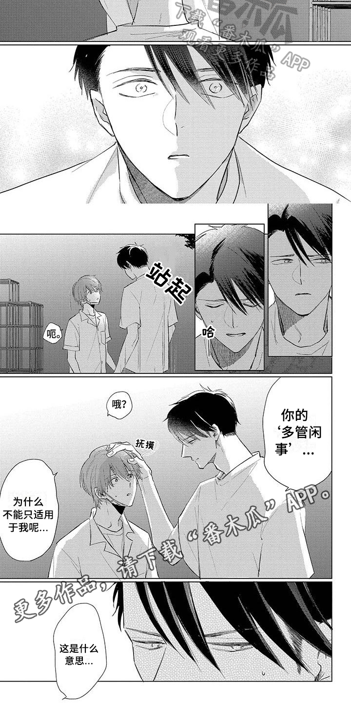 第31章：想了解5