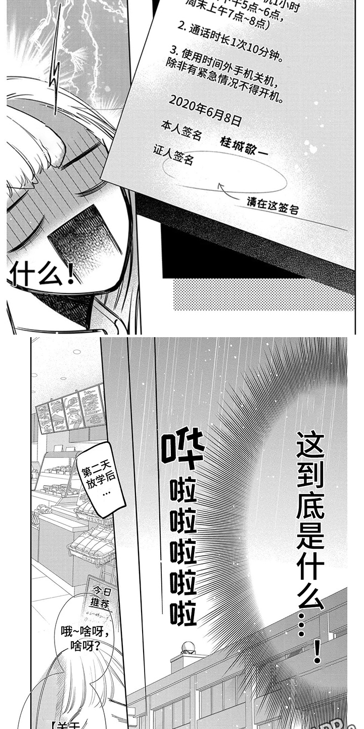 第13章：手机使用合约4
