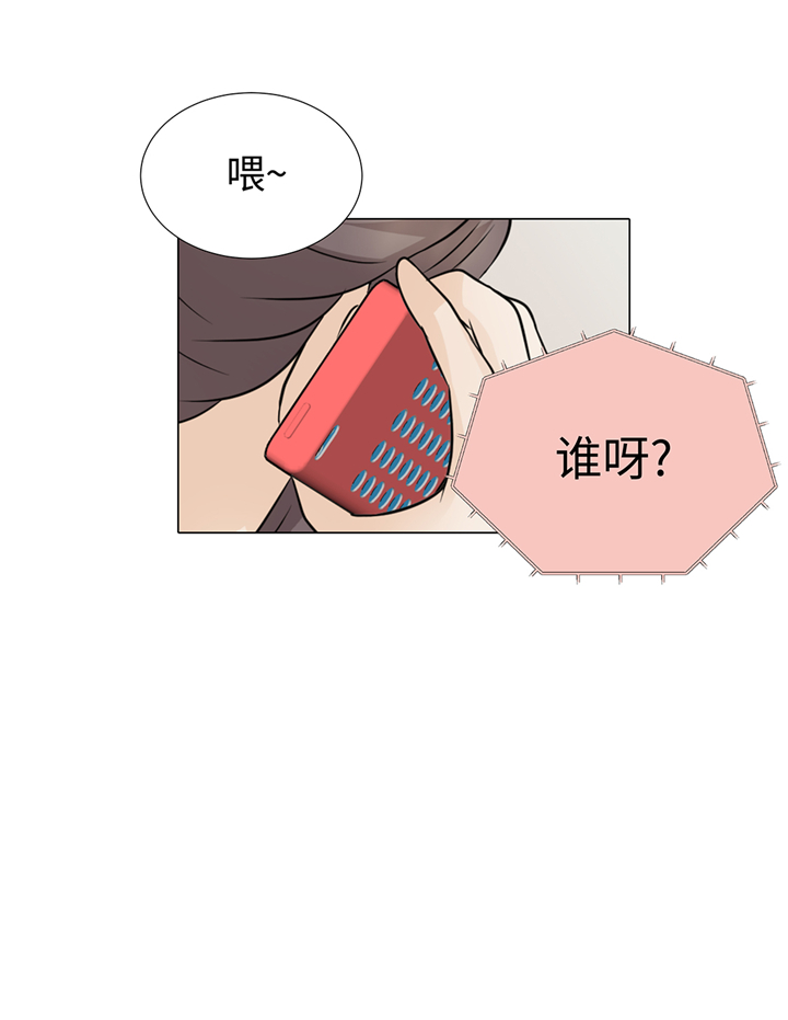 第65章：我送的花14