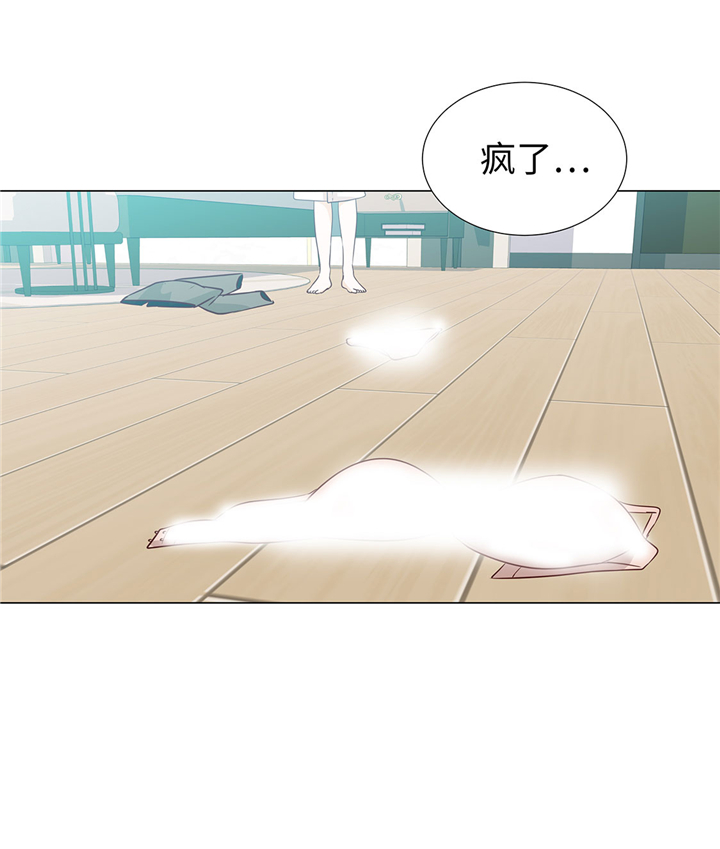 第52章：情迷20