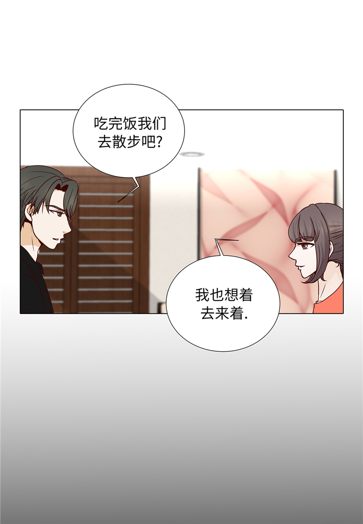 第91章：你的安排是什么24