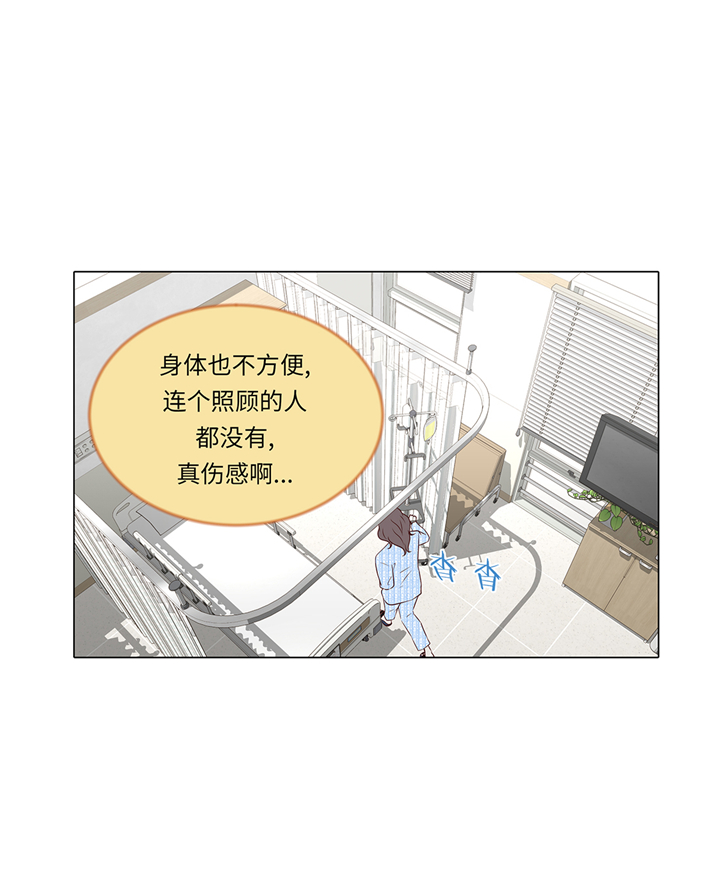 第77章：回来了6