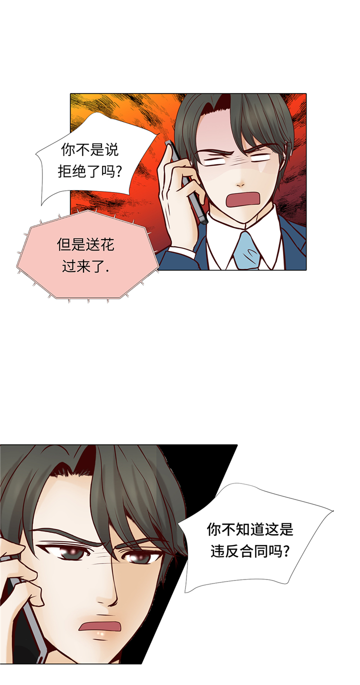 第65章：我送的花18