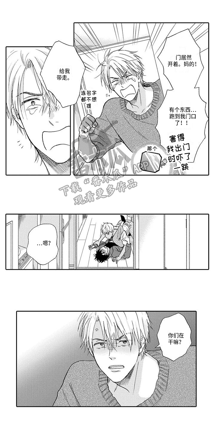 第12章：建议0