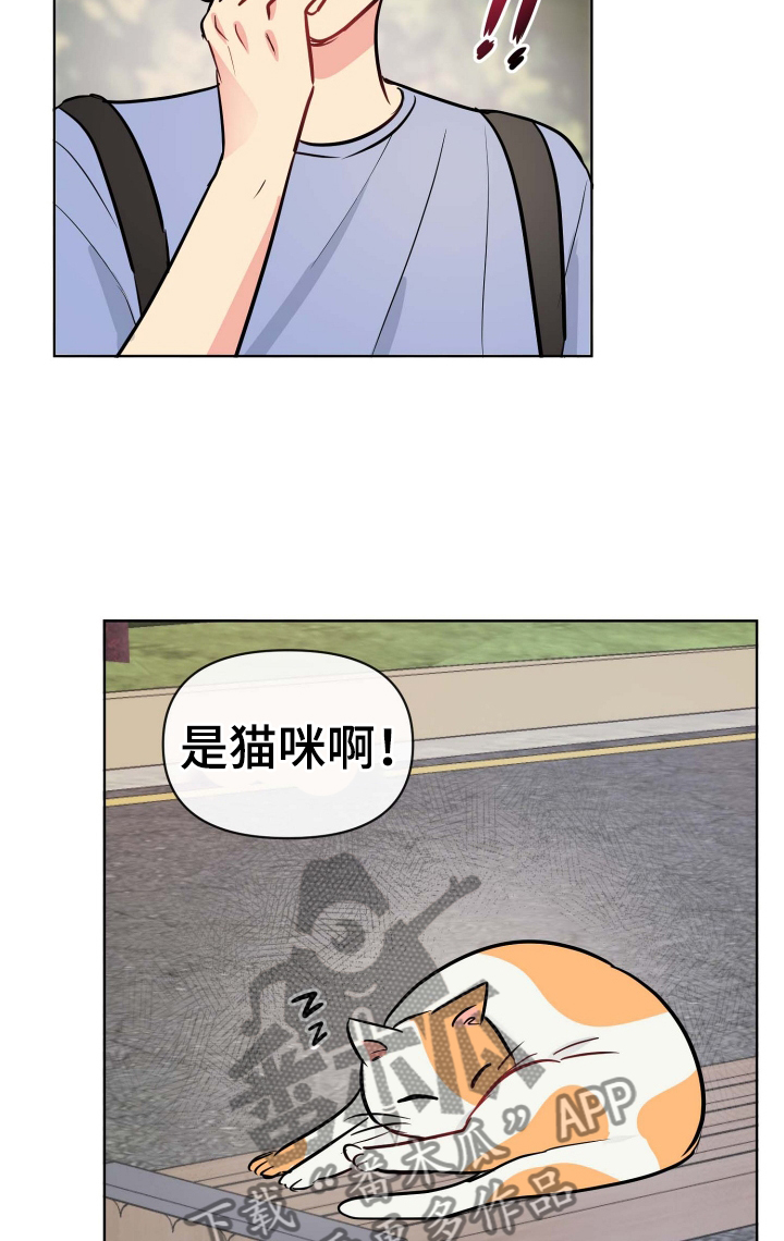 第30章：规则25