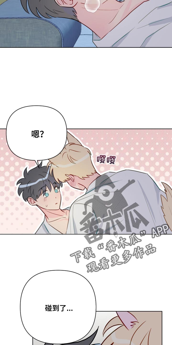 第101章：【番外】野性的大狼8
