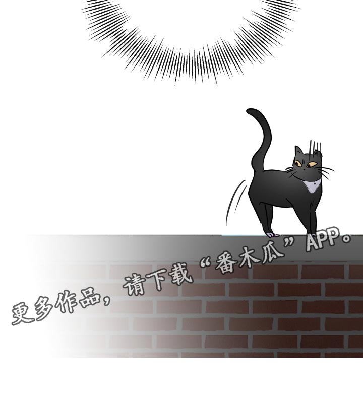 第74章：让人无法捉摸的家伙17