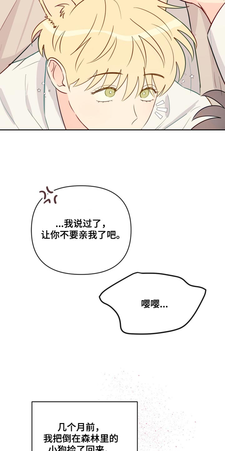 第100章：【番外】普通的小狗2