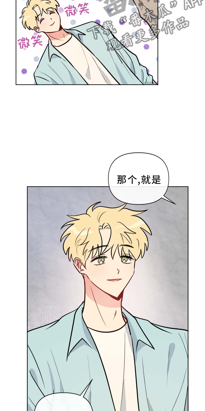 第29章：条件17