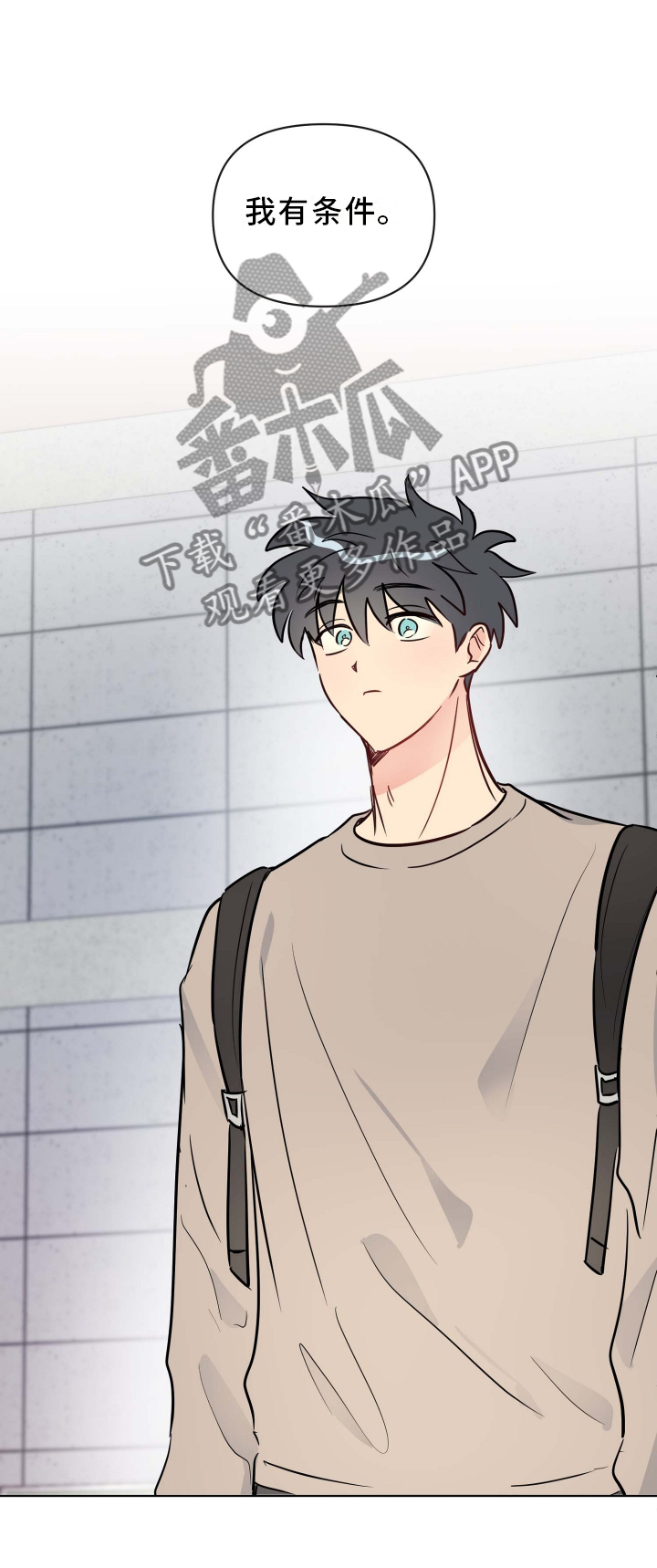 第29章：条件24