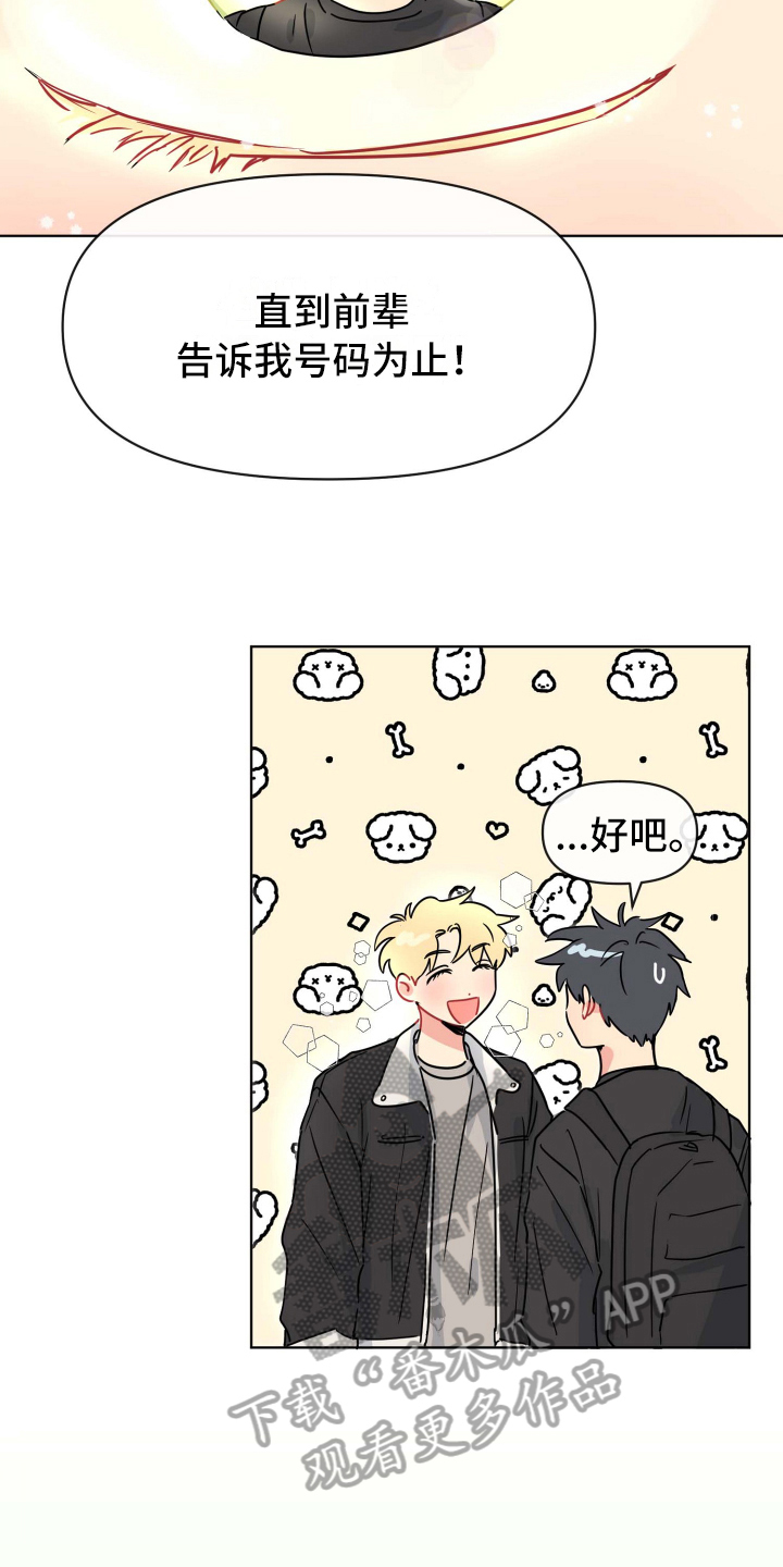 第4章：决心12