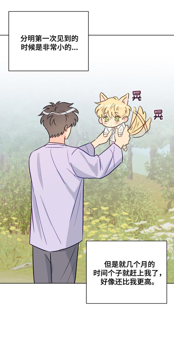 第100章：【番外】普通的小狗5