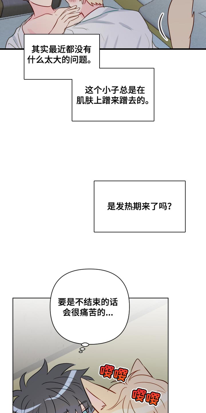 第101章：【番外】野性的大狼5