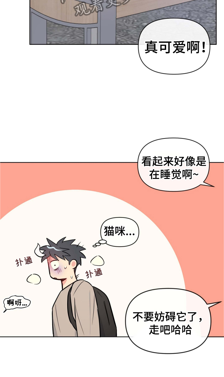 第30章：规则26