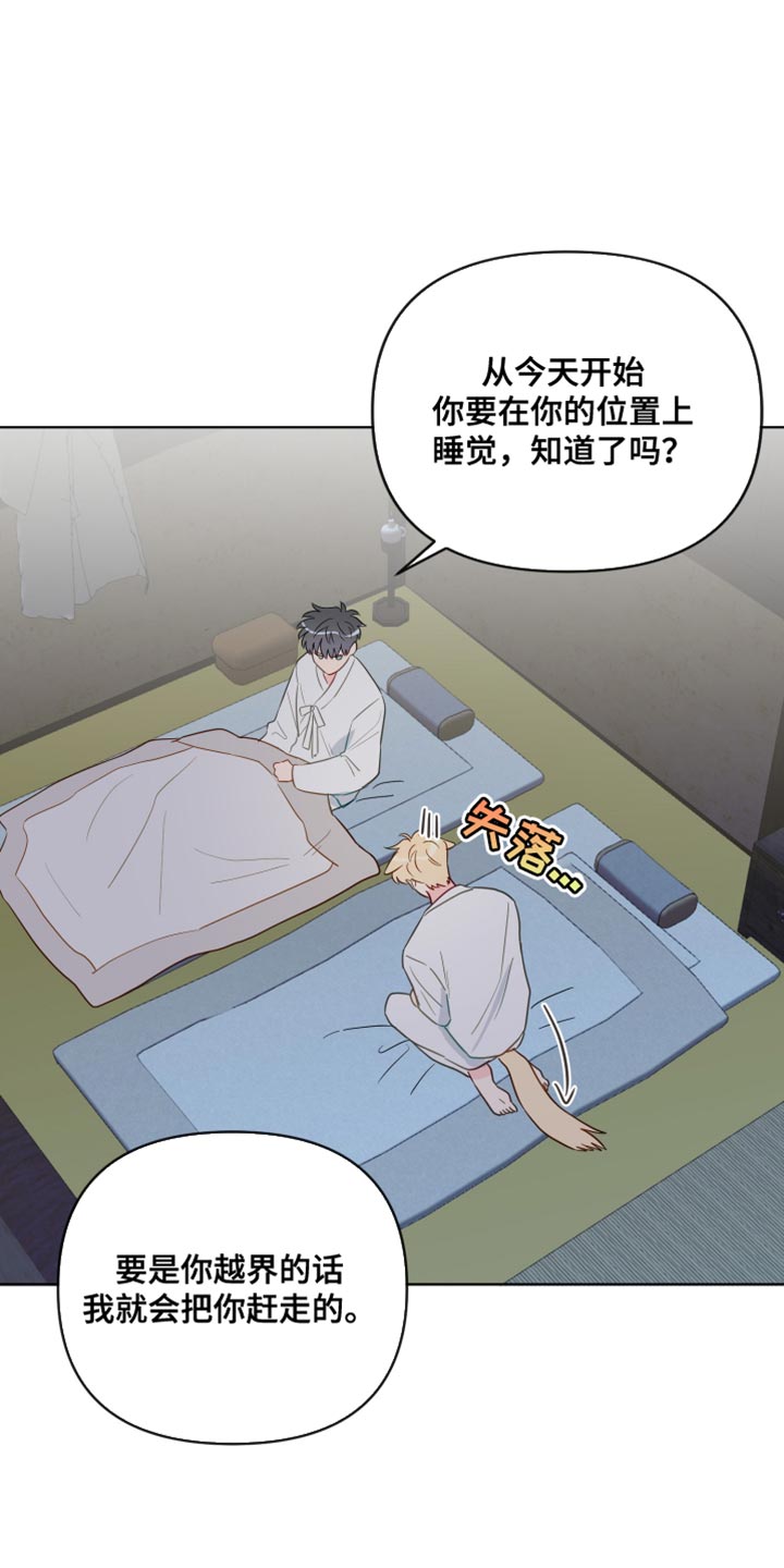 第100章：【番外】普通的小狗17