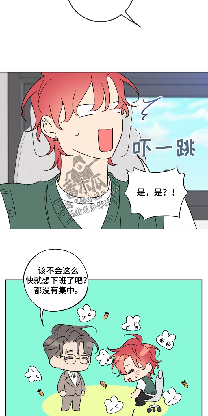 第33章：太帅了3