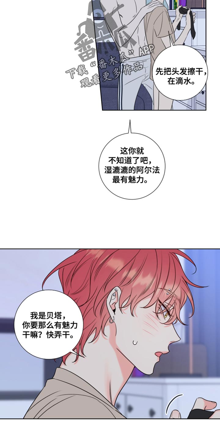 第16章：最有魅力的阿尔法18