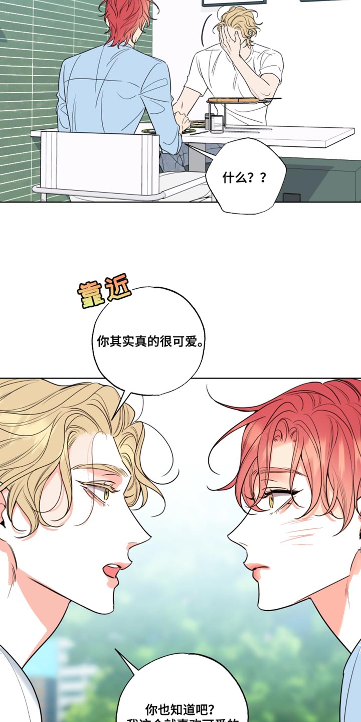 第27章：笨蛋14
