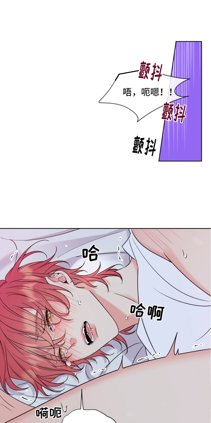 第11章：疯子 0