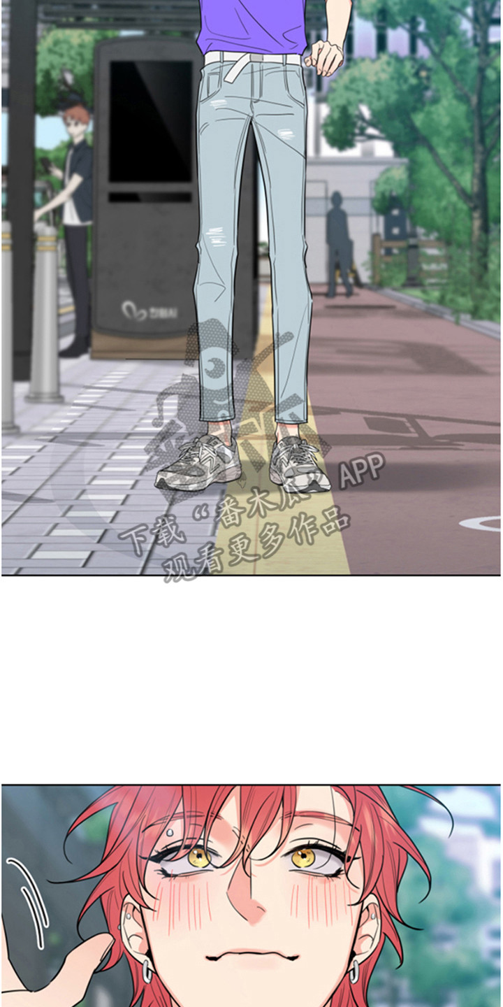第4章：一见钟情15
