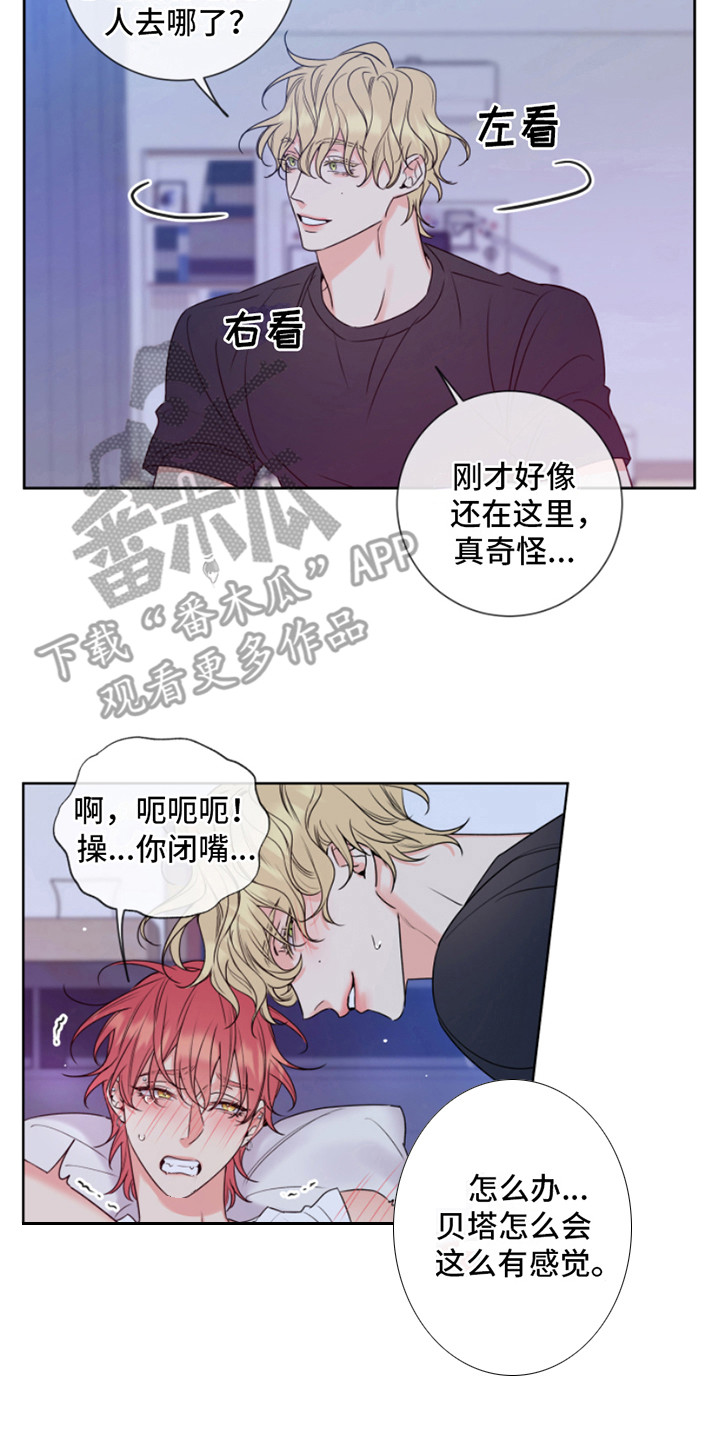 第10章：不可思议 13