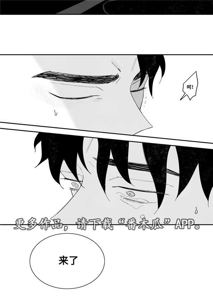 第16章：期待吗11
