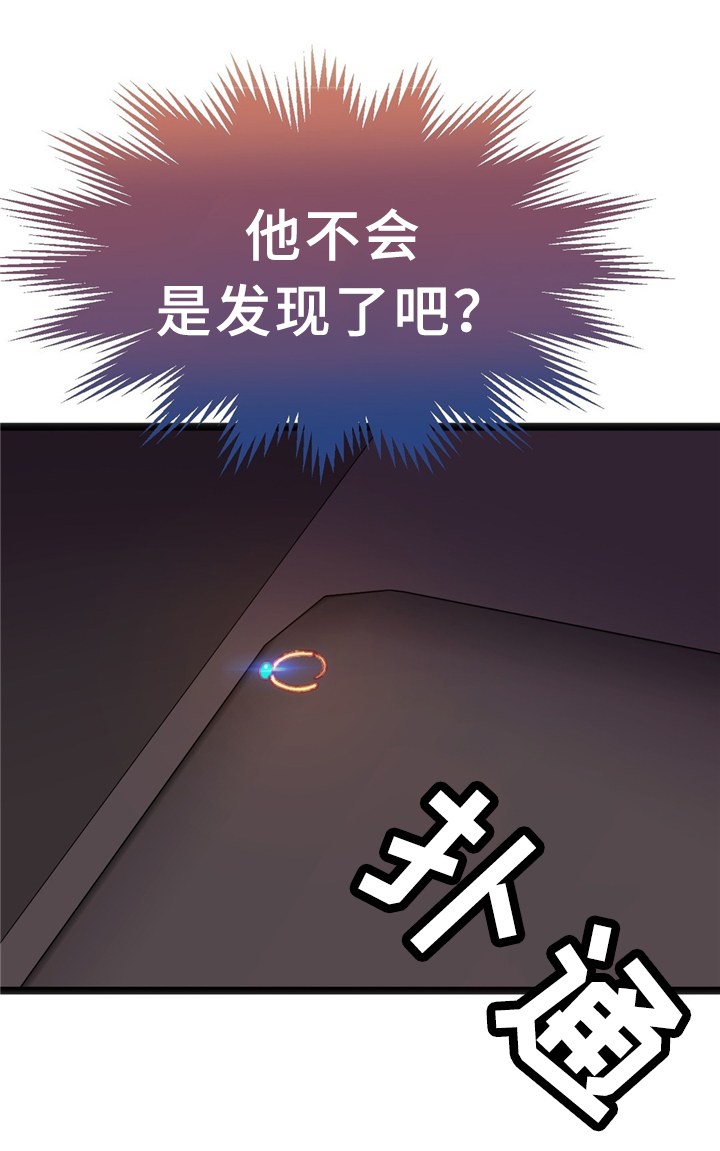 第33章：耳环23