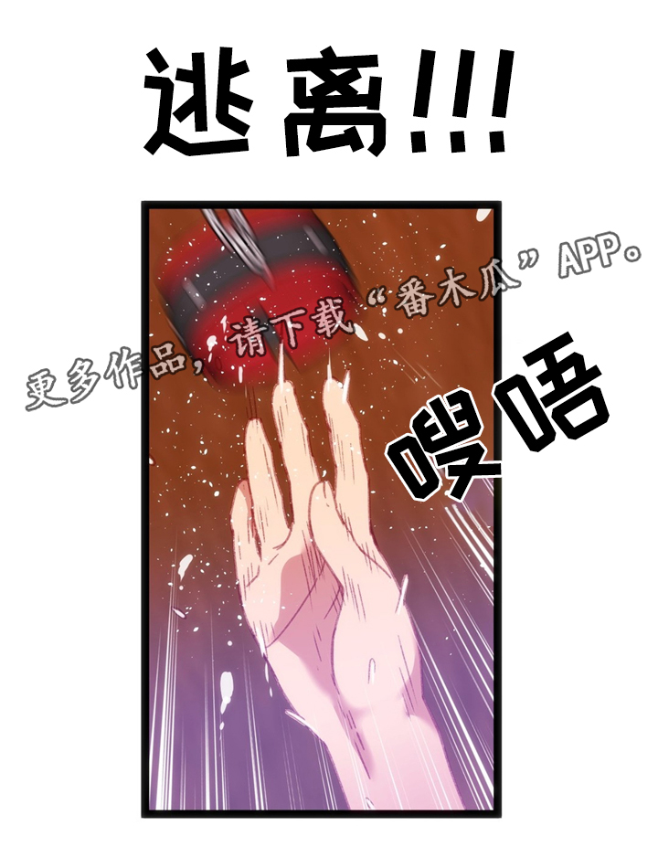 第31章：数字”5”11