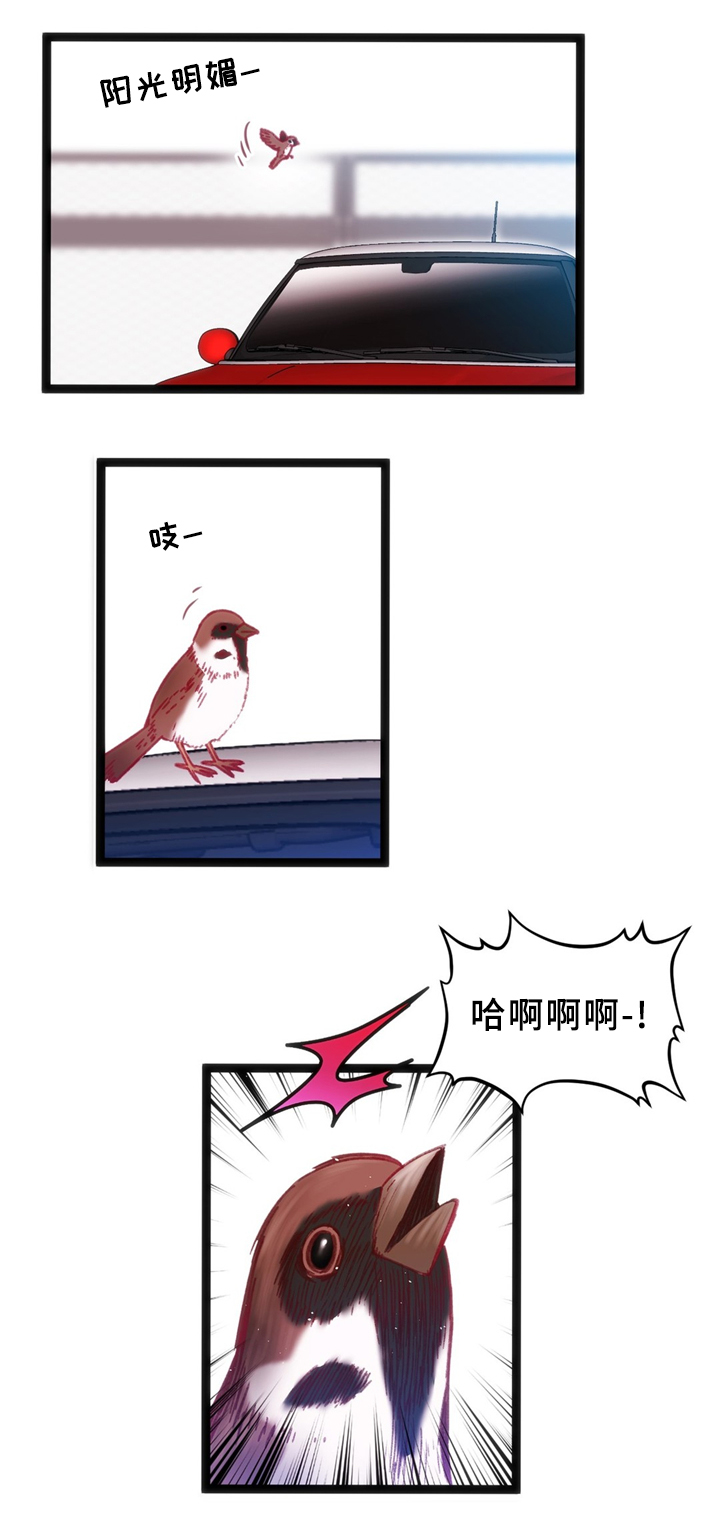 第33章：耳环0