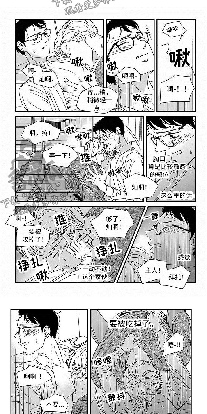第17章：潜质7