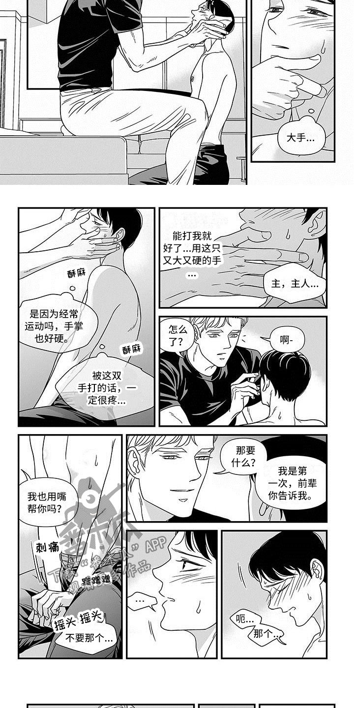 第10章：我来帮你4