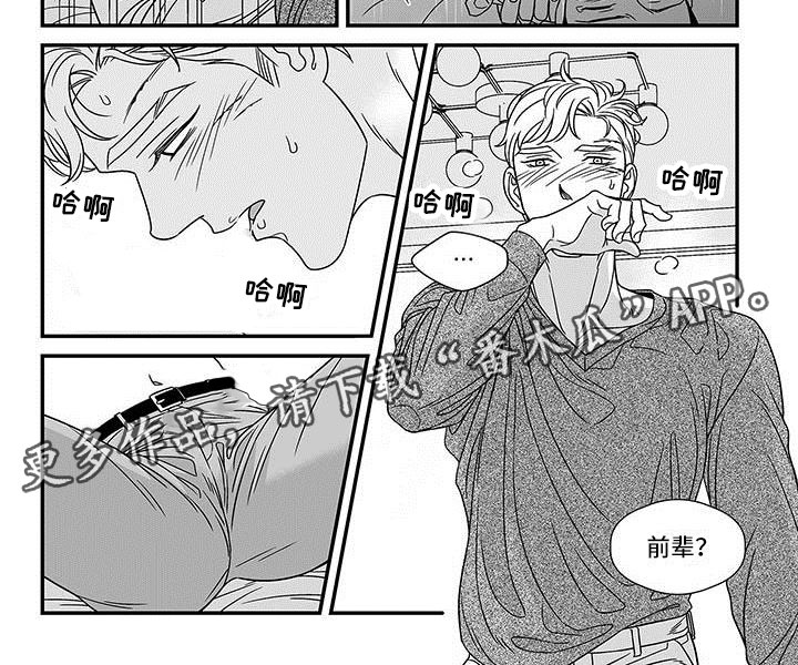 第17章：潜质8